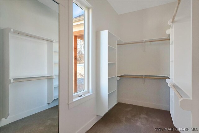 spacious closet featuring dark carpet