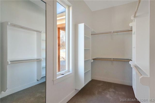 spacious closet with dark colored carpet