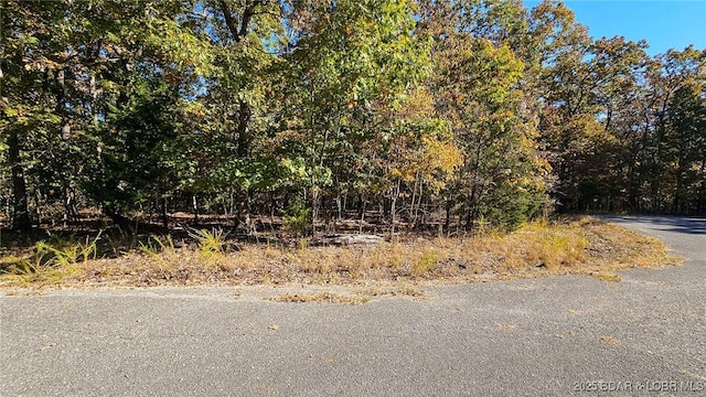 Listing photo 2 for LOT1319 Champion Ct, Porto Cima MO 65079