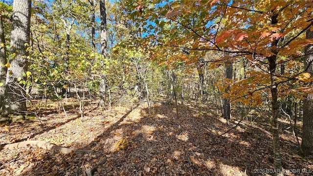 Listing photo 3 for LOT1319 Champion Ct, Porto Cima MO 65079