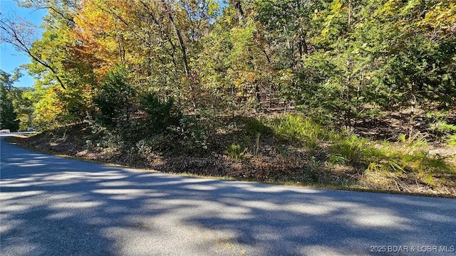 Listing photo 2 for LOT1403A Via Del Lago Dr, Porto Cima MO 65079