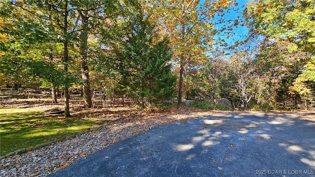 LOT1387 Via Bella Vista Ct, Porto Cima MO, 65079 land for sale