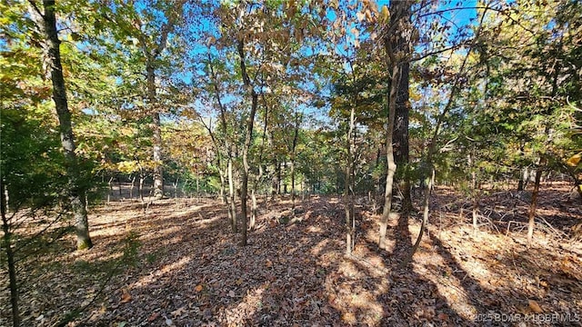 Listing photo 2 for LOT1387 Via Bella Vista Ct, Porto Cima MO 65079