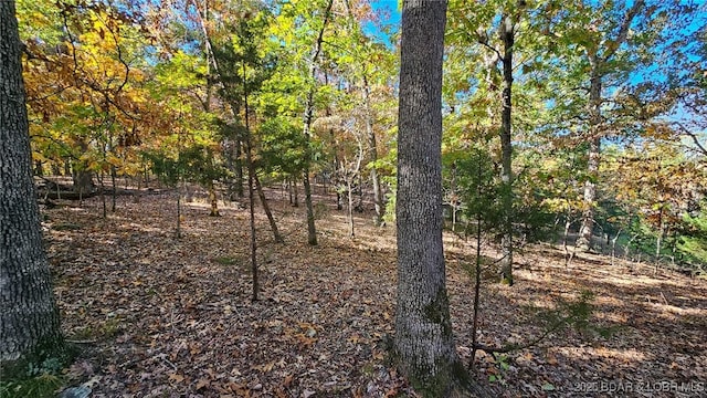 Listing photo 3 for LOT1387 Via Bella Vista Ct, Porto Cima MO 65079