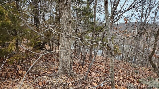 LOT1287 Lakeshire Dr, Camdenton, MO 65020 - photo 4