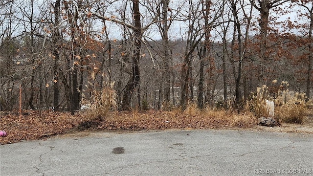 LOT1287 Lakeshire Dr, Camdenton, MO 65020 - photo 5
