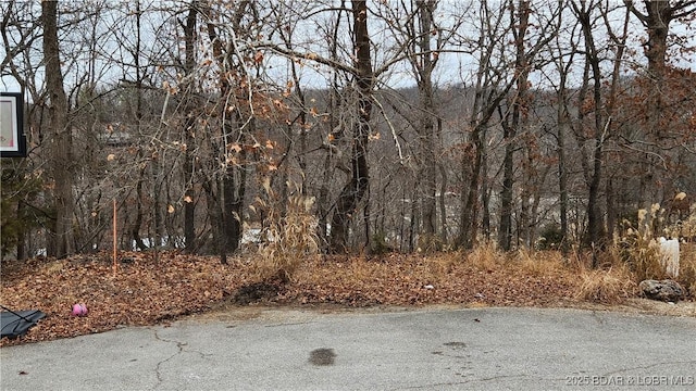 LOT1287 Lakeshire Dr, Camdenton, MO 65020 - photo 6