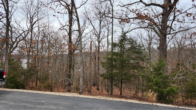 LOT168 Forestridge Ln, Sunrise Beach MO, 65079 land for sale