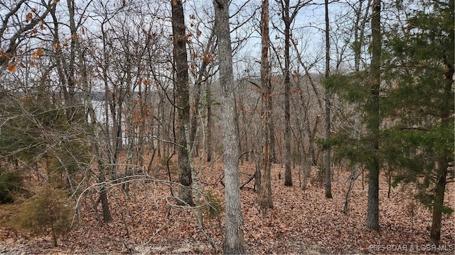 Listing photo 2 for LOT168 Forestridge Ln, Sunrise Beach MO 65079