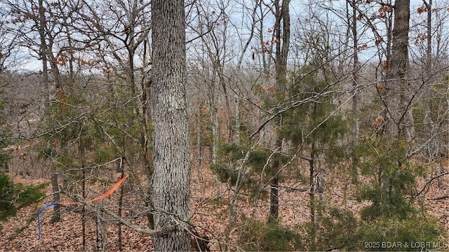 Listing photo 3 for LOT168 Forestridge Ln, Sunrise Beach MO 65079