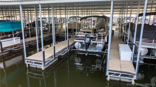 dock area with a water view