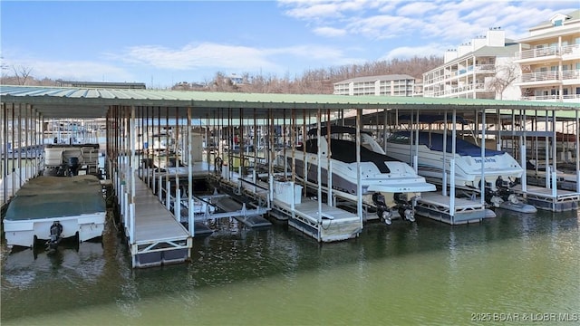 dock area with a water view