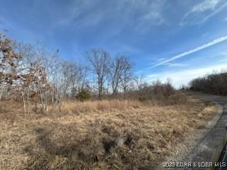 Listing photo 3 for 28725 Ivy Bend Rd, Stover MO 65078