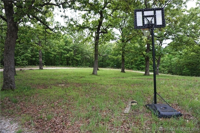 747 Paulson Dr, Edwards, MO 65326 - view of yard