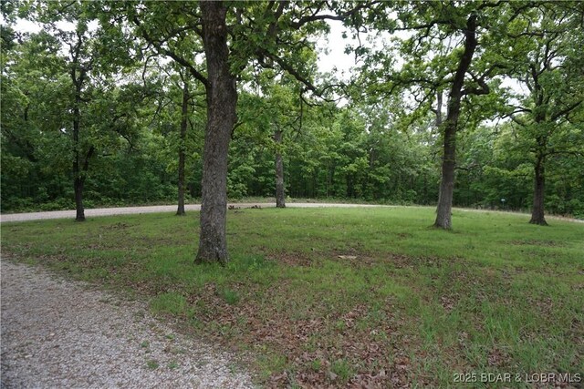 747 Paulson Dr, Edwards, MO 65326 - view of yard