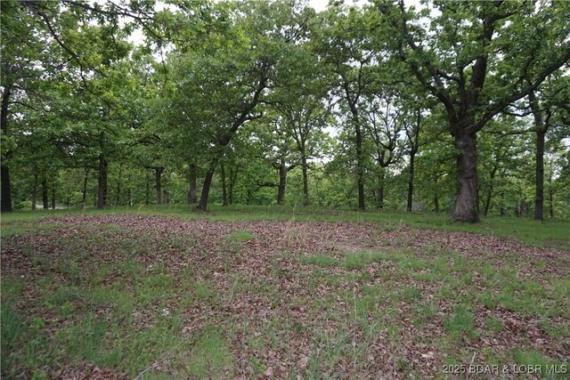 747 Paulson Dr, Edwards, MO 65326 - view of local wilderness