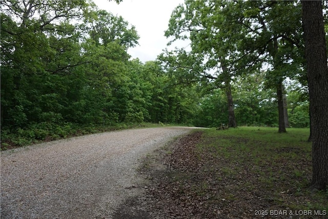 747 Paulson Dr, Edwards, MO 65326 - view of road