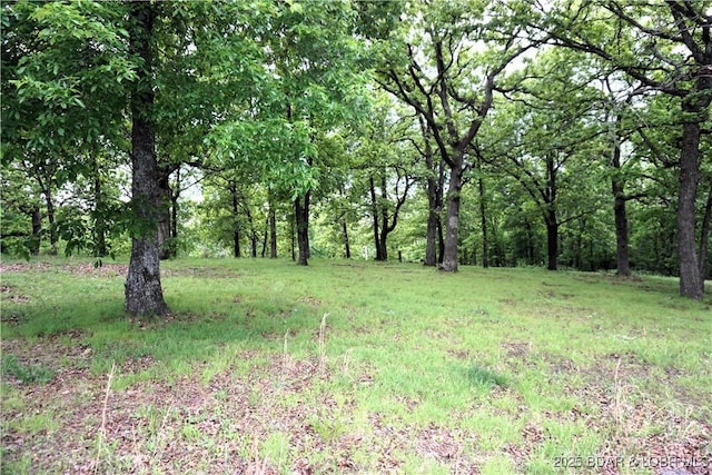 747 Paulson Dr, Edwards, MO 65326 - view of yard