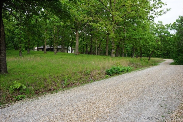 747 Paulson Dr, Edwards, MO 65326 - view of road