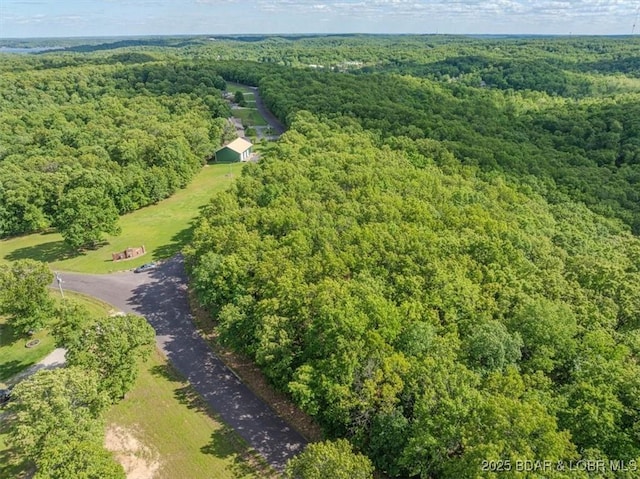 LOT3 Buck Creek Rd, Gravois Mills, MO 65037 - photo 3