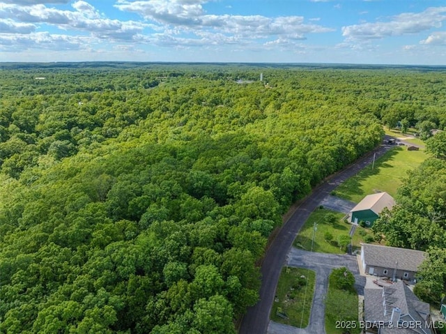 LOT3 Buck Creek Rd, Gravois Mills, MO 65037 - photo 6