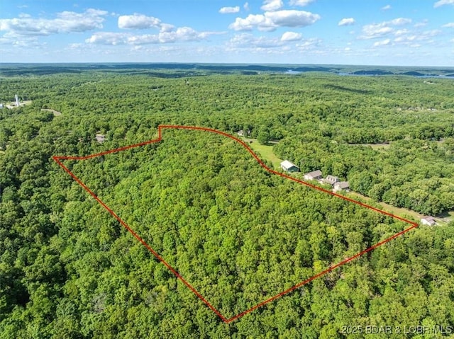 LOT3 Buck Creek Rd, Gravois Mills, MO 65037 - photo 10