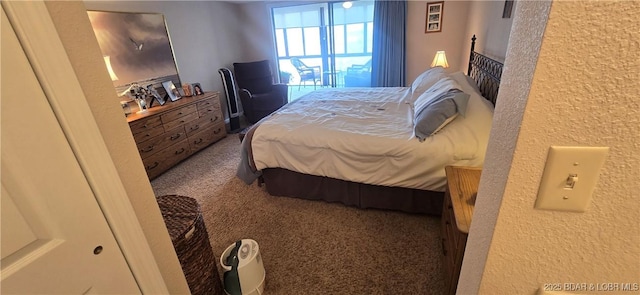 bedroom featuring carpet