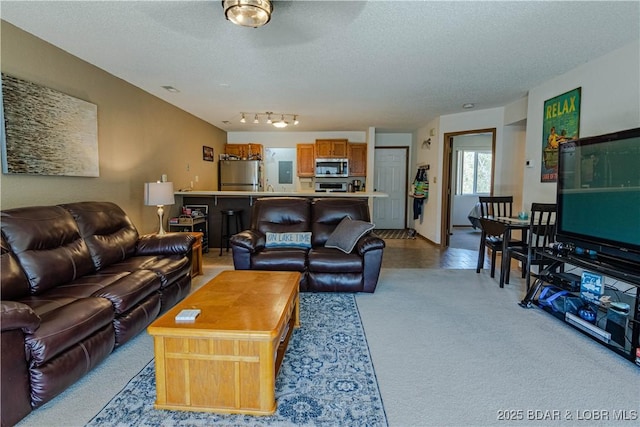 living room featuring a textured ceiling