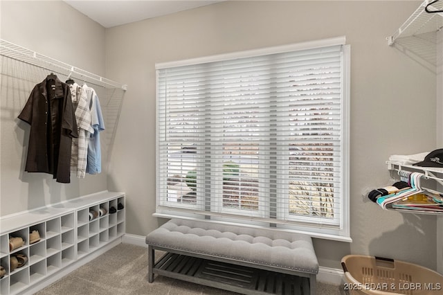 spacious closet featuring carpet