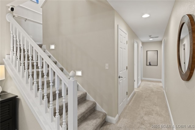 staircase featuring carpet floors