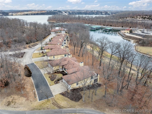 birds eye view of property with a water view