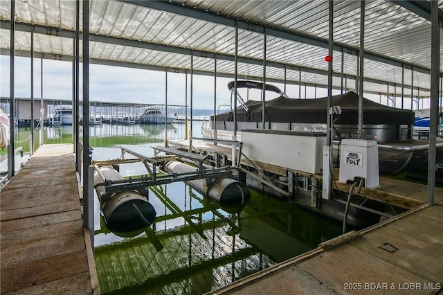 dock area with a water view