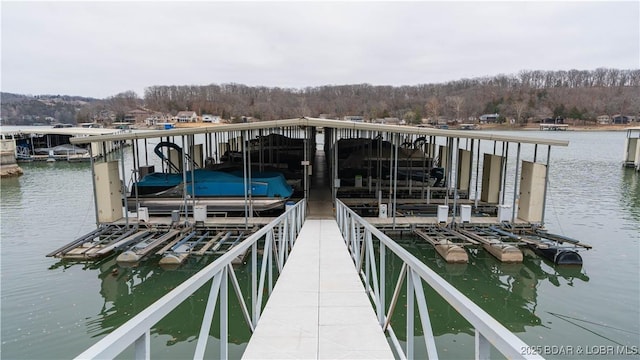 dock area with a water view