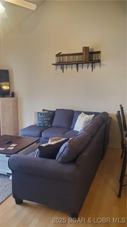 living room with light hardwood / wood-style floors