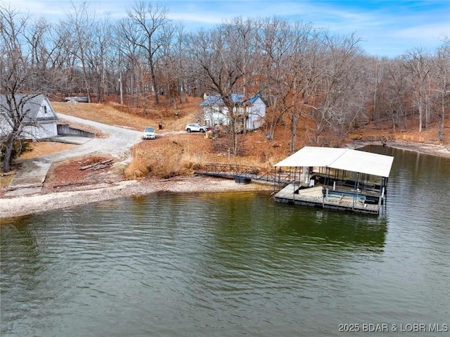 dock area with a water view