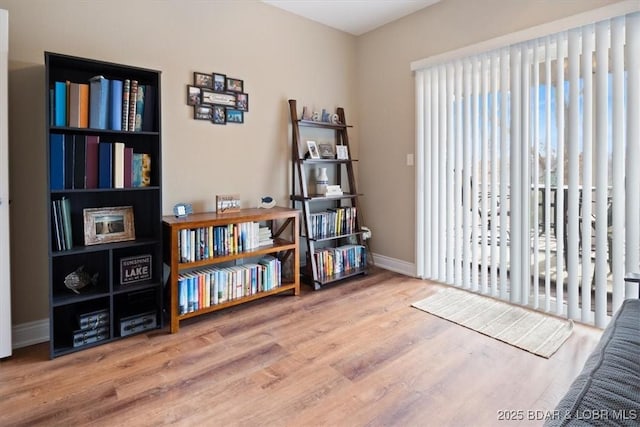 interior space with wood-type flooring