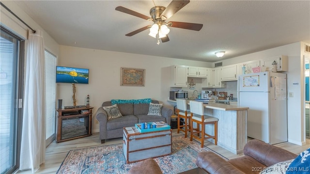 living room with light hardwood / wood-style floors and ceiling fan