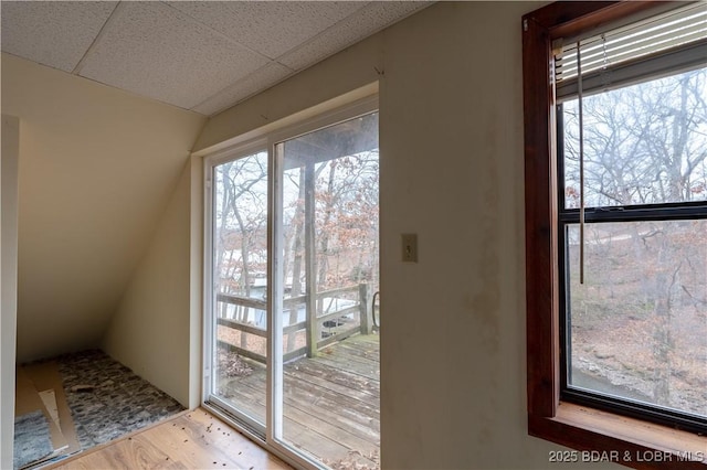 doorway to outside featuring a paneled ceiling and light hardwood / wood-style flooring