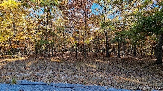 Listing photo 3 for LOT785 Gleneagle Ct, Porto Cima MO 65079