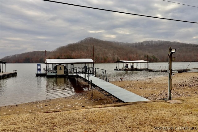 dock area with a water view