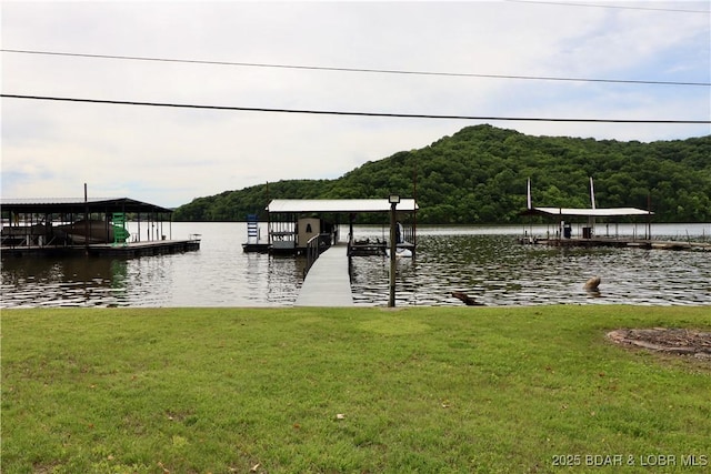 980 Laura Hufferd Rd, Roach, MO 65787 - dock area with a water view, a yard, and a view of trees