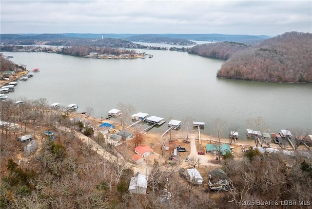 980 Laura Hufferd Rd, Roach, MO 65787 - drone / aerial view of a large body of water