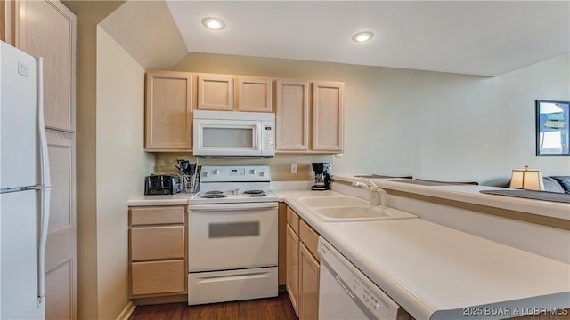 kitchen featuring dark hardwood / wood-style floors, sink, light brown cabinets, and white appliances