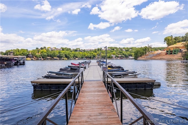 dock area with a water view