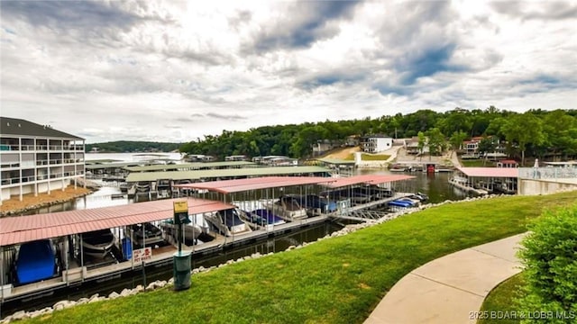 dock area with a water view