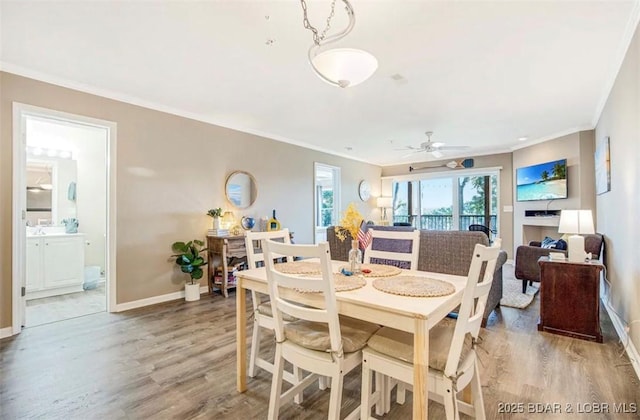 dining space featuring wood-type flooring, ceiling fan, and crown molding