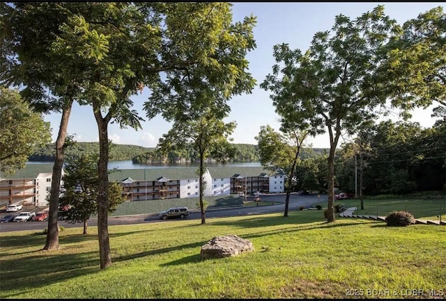 view of property's community featuring a lawn