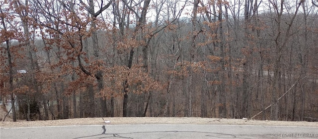 118 Veronica Ln, Four Seasons, MO 65049
