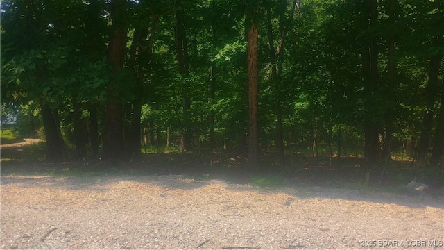 118 Veronica Ln, Four Seasons, MO 65049