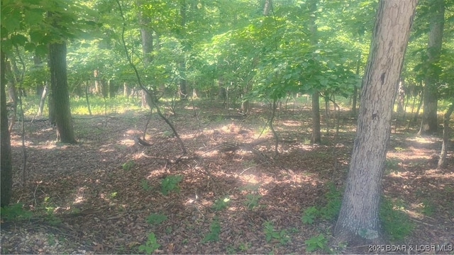 118 Veronica Ln, Four Seasons, MO 65049